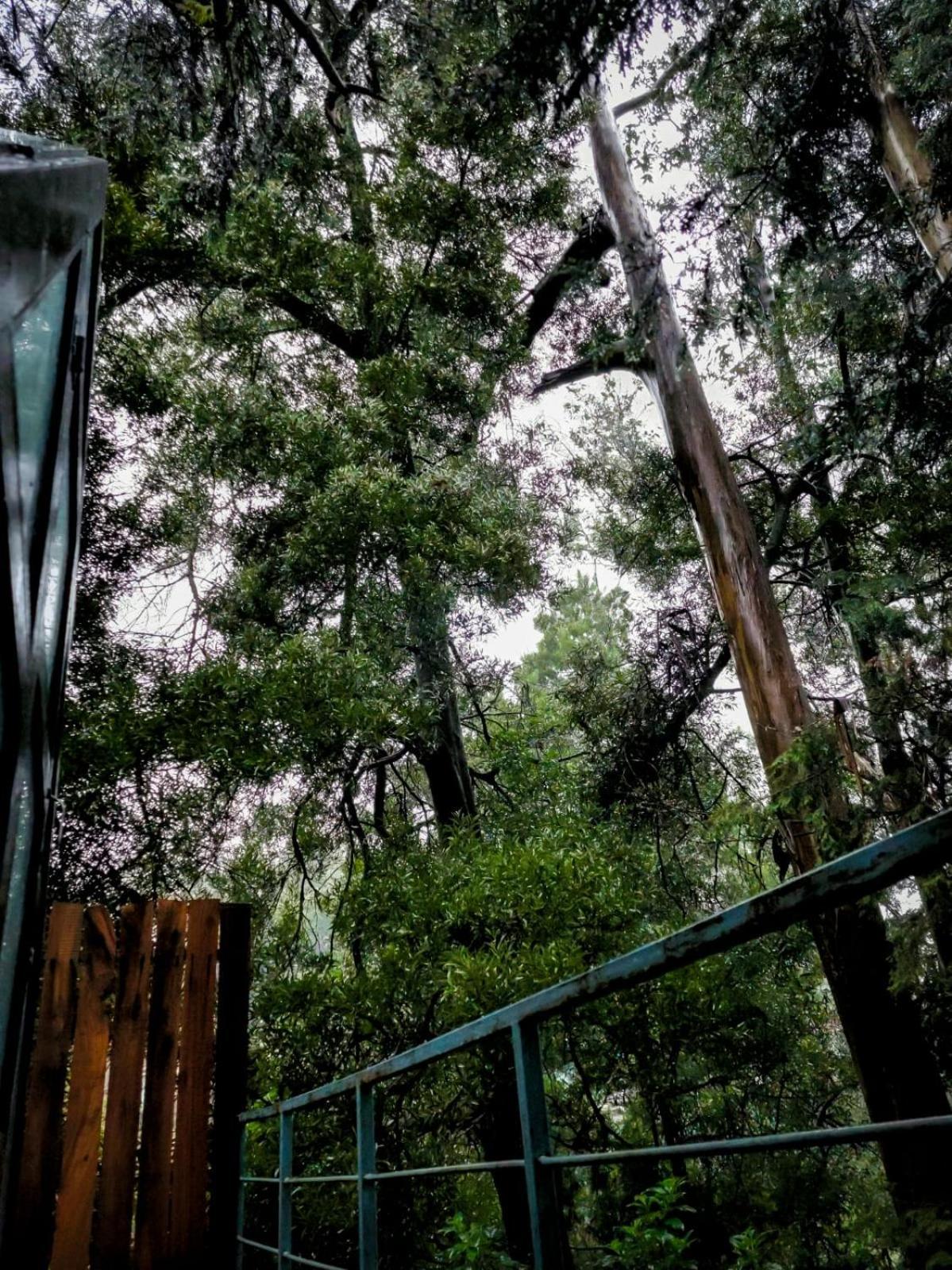 Woodhouse Hotel Ооти Екстериор снимка